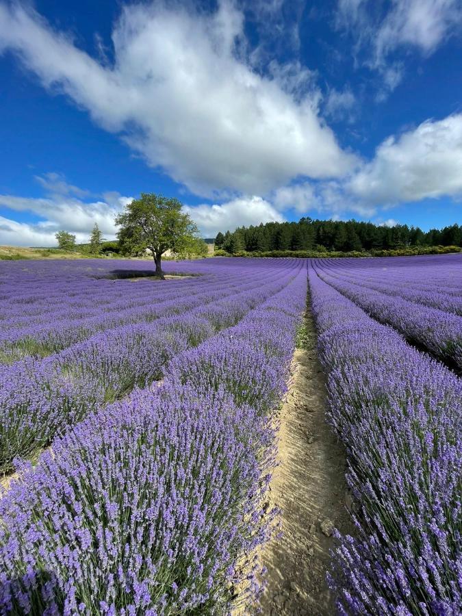 A Mont Nos Hotes 2 Mollans-sur-Ouvèze Eksteriør bilde